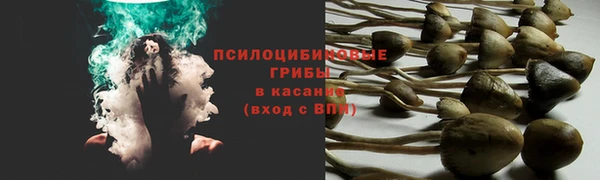 кокаин премиум Гусь-Хрустальный