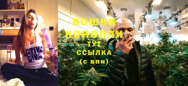 спиды Гусев