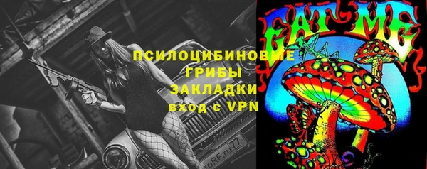 тгк Гусиноозёрск