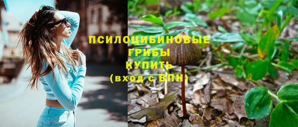 прущий лед Куйбышев