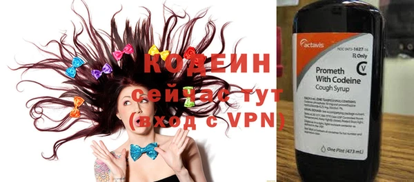 спиды Гусев