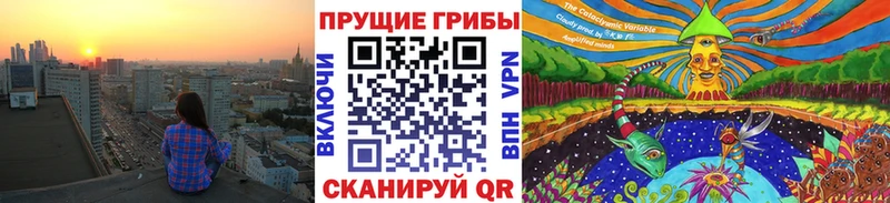 Галлюциногенные грибы Psilocybine cubensis  цены   Жуковка 