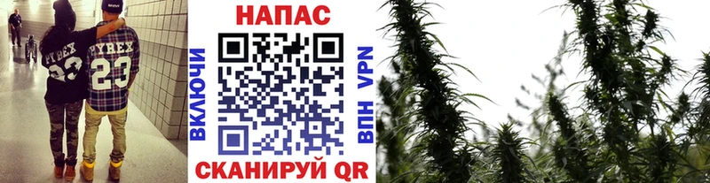 МАРИХУАНА THC 21%  Жуковка 